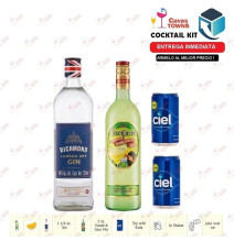 Cocktail Kit Collins Receta Recipe - Cavas Towns Cocktail Kit Collins Receta Recipe - Cavas Towns