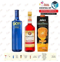 Vodka Skyy Infusions Raspberry - 750 ml - Cavas Towns Vodka Skyy Infusions Raspberry - 750 ml - Cavas Towns