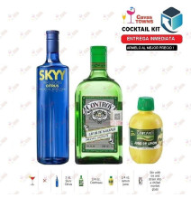 Vodka Skyy Infusions Raspberry - 750 ml - Cavas Towns Vodka Skyy Infusions Raspberry - 750 ml - Cavas Towns