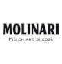 MOLINARI
